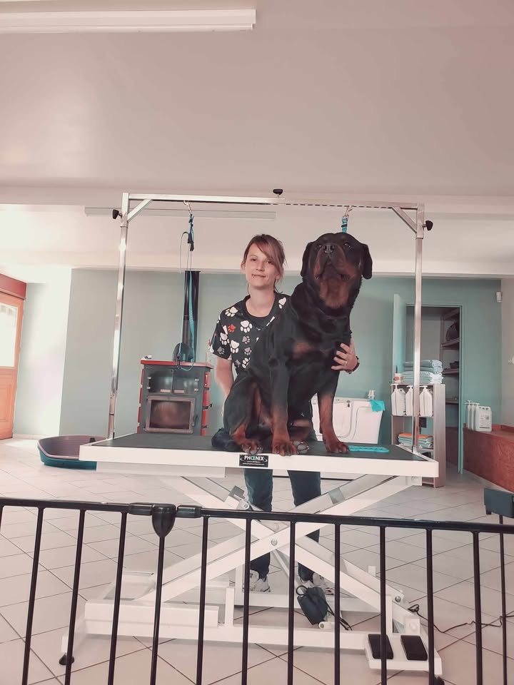 CHIEN 2.jpg (73 KB)