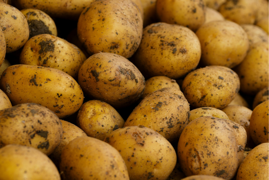 Mondrepuis : 8 tonnes de pommes de terre distribuées aux habitants.