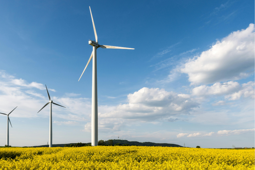 Momignies : feu vert pour le projet éolien de la Plaine par-delà l’Arbre.