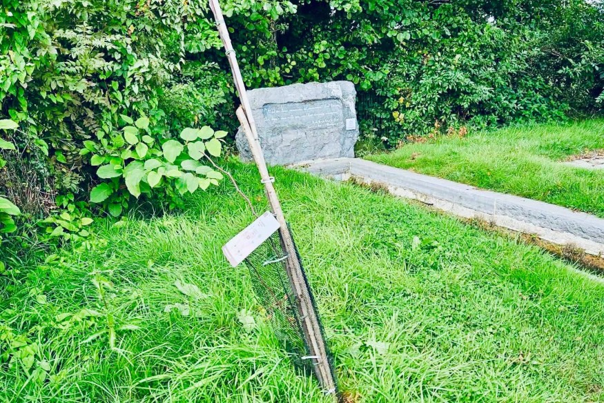 Mondrepuis : qui peut s’en prendre à…un arbre ?
