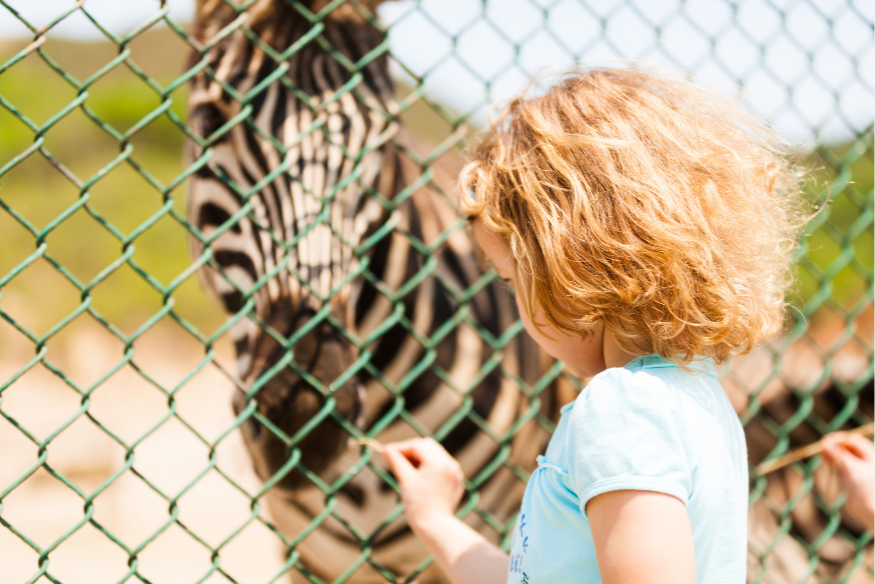 Maubeuge : le zoo devient partenaire TER Culture de la SNCF.