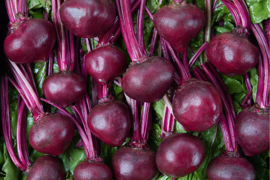 Aisne : la production de betteraves sucrières en net recul après la sécheresse.